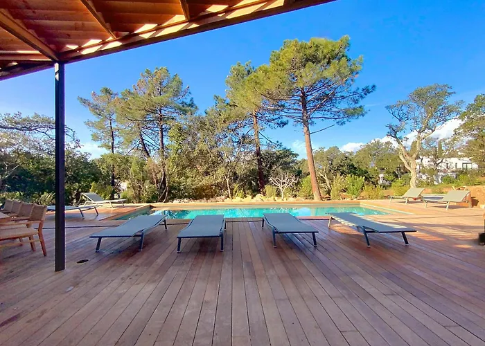 L'immortelle * Lecci