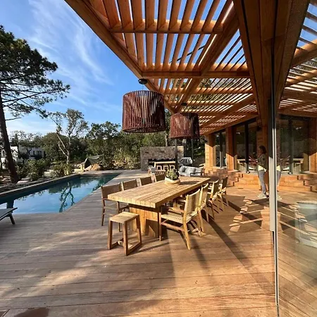 L'immortelle * Lecci