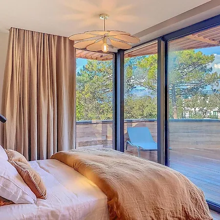 L'immortelle * Lecci