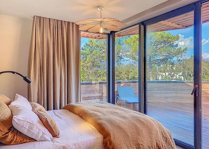 L'immortelle * Lecci